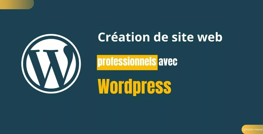 Créateur de site web professionnel à Troyes